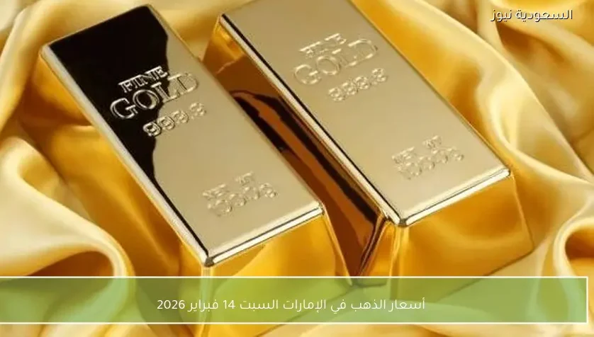 أسعار الذهب في الإمارات السبت 14 فبراير 2026