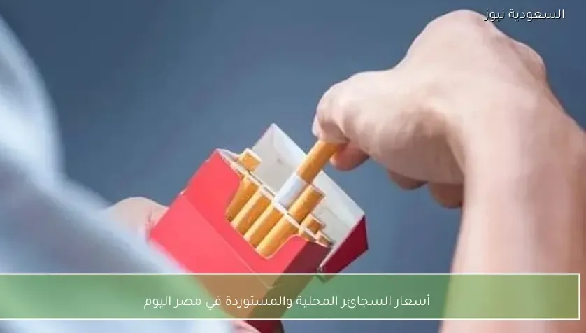 أسعار السجائر المحلية والمستوردة في مصر اليوم