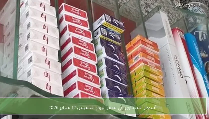 أسعار السجائر في مصر اليوم الخميس 12 فبراير 2026