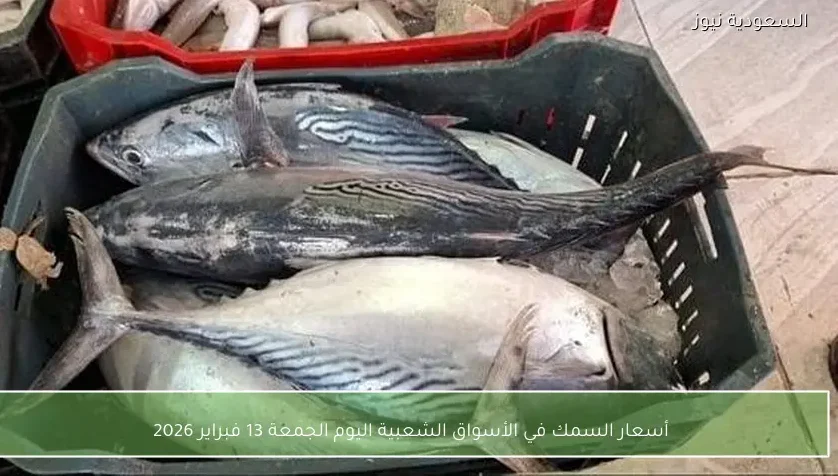 أسعار السمك في الأسواق الشعبية اليوم الجمعة 13 فبراير 2026