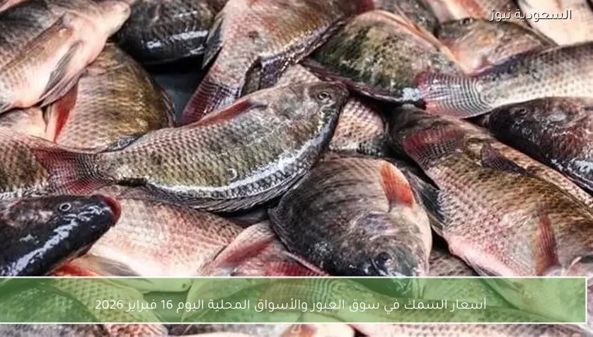 أسعار السمك في سوق العبور والأسواق المحلية اليوم 16 فبراير 2026