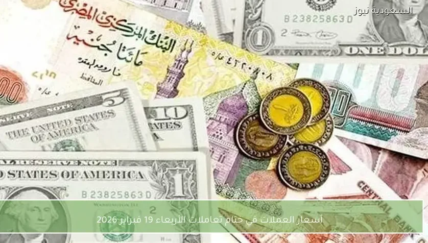 أسعار العملات في ختام تعاملات الأربعاء 19 فبراير 2026