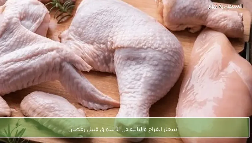 أسعار الفراخ والبانيه في الأسواق قبيل رمضان