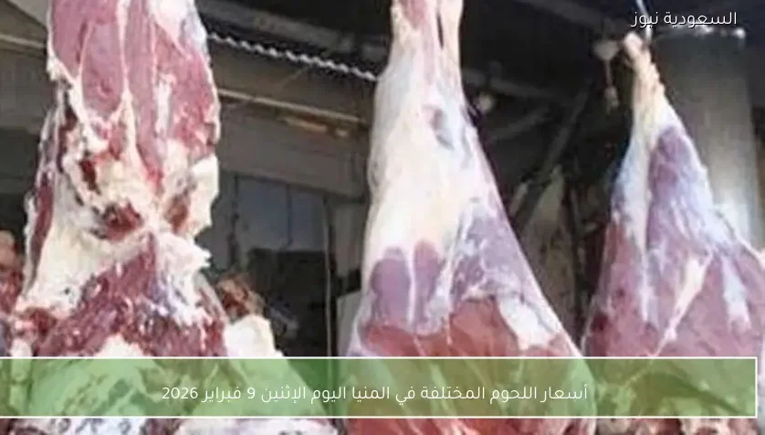 أسعار اللحوم المختلفة في المنيا اليوم الإثنين 9 فبراير 2026