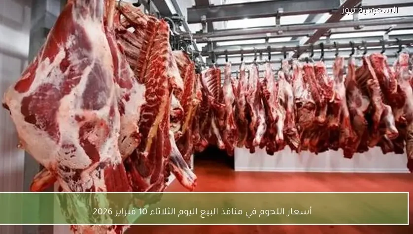 أسعار اللحوم في منافذ البيع اليوم الثلاثاء 10 فبراير 2026