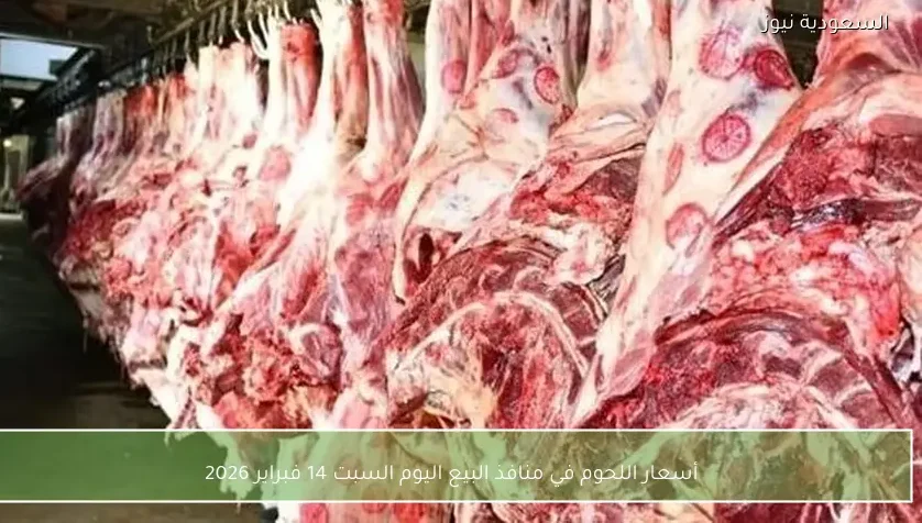 أسعار اللحوم في منافذ البيع اليوم السبت 14 فبراير 2026