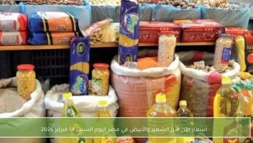 أسعار طن الأرز الشعير والأبيض في مصر اليوم السبت 14 فبراير 2026