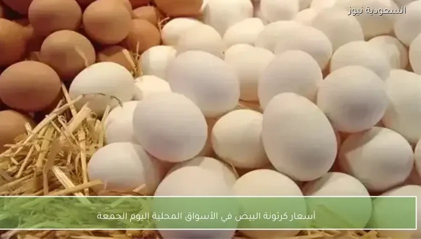 أسعار كرتونة البيض في الأسواق المحلية اليوم الجمعة