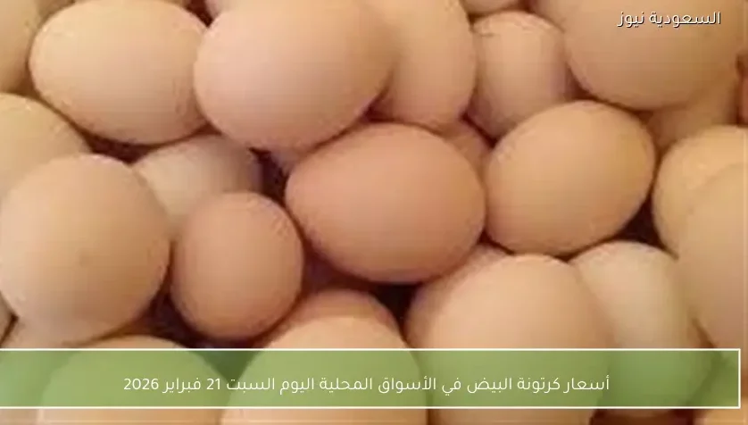 أسعار كرتونة البيض في الأسواق المحلية اليوم السبت 21 فبراير 2026