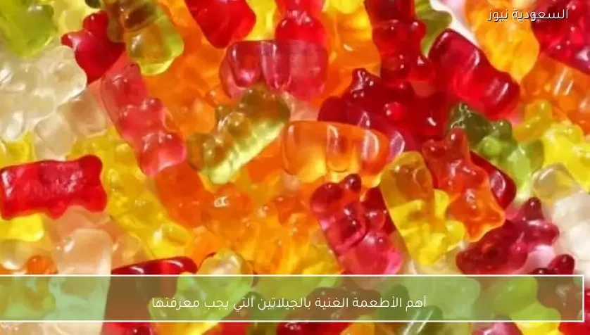 أهم الأطعمة الغنية بالجيلاتين التي يجب معرفتها