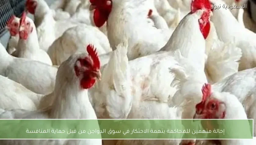 إحالة متهمين للمحاكمة بتهمة الاحتكار في سوق الدواجن من قبل حماية المنافسة