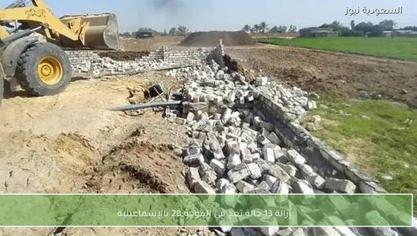 إزالة 13 حالة تعدٍ في الموجة 28 بالإسماعيلية