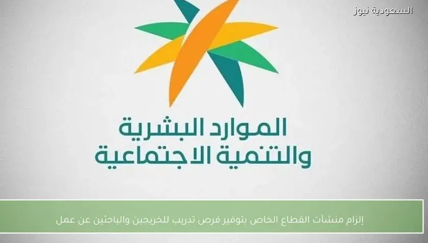 إلزام منشآت القطاع الخاص بتوفير فرص تدريب للخريجين والباحثين عن عمل