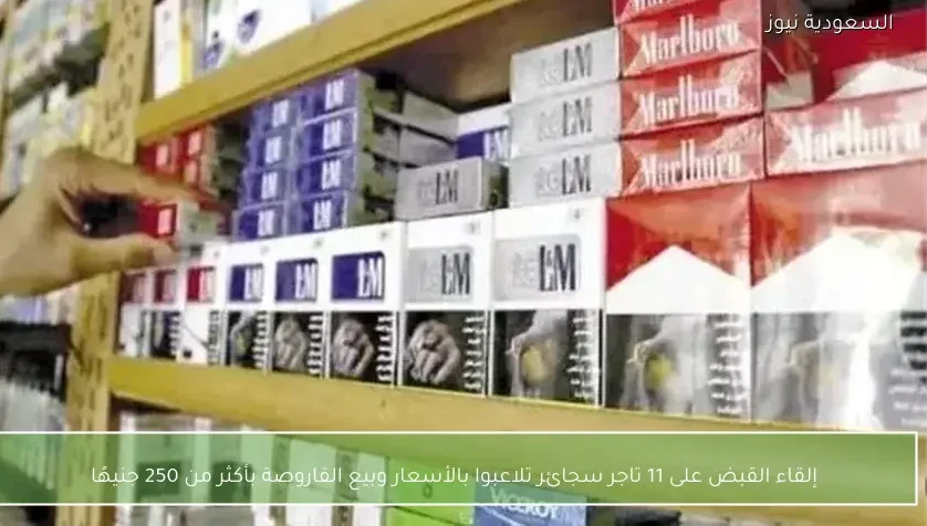 إلقاء القبض على 11 تاجر سجائر تلاعبوا بالأسعار وبيع القاروصة بأكثر من 250 جنيهًا