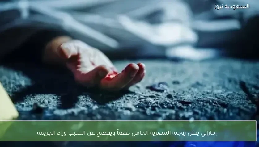 إماراتي يقتل زوجته المصرية الحامل طعناً ويفصح عن السبب وراء الجريمة