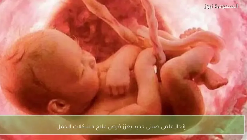 إنجاز علمي صيني جديد يعزز فرص علاج مشكلات الحمل