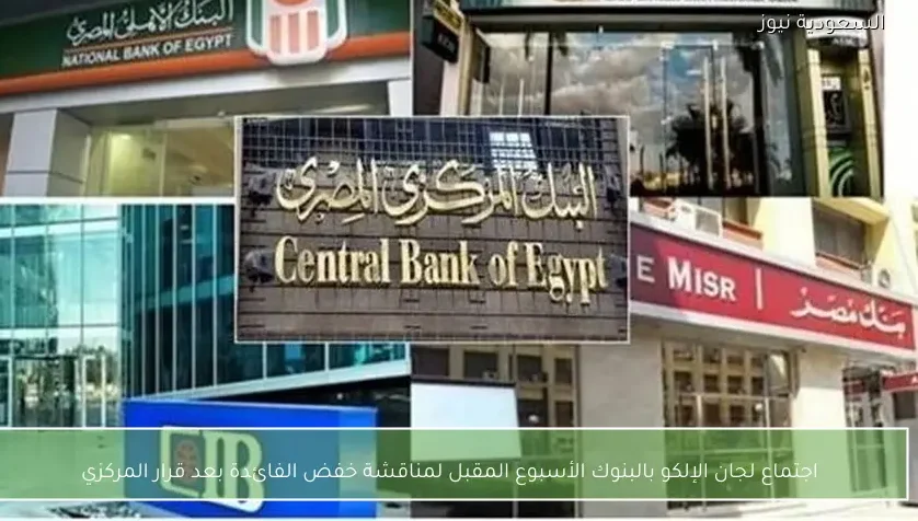 اجتماع لجان الإلكو بالبنوك الأسبوع المقبل لمناقشة خفض الفائدة بعد قرار المركزي