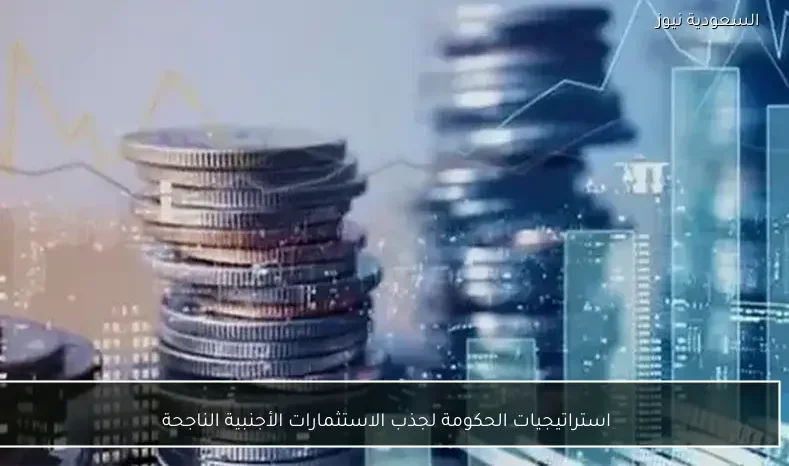 استراتيجيات الحكومة لجذب الاستثمارات الأجنبية الناجحة