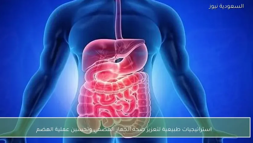 استراتيجيات طبيعية لتعزيز صحة الجهاز الهضمي وتحسين عملية الهضم