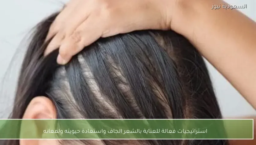 استراتيجيات فعالة للعناية بالشعر الجاف واستعادة حيويته ولمعانه