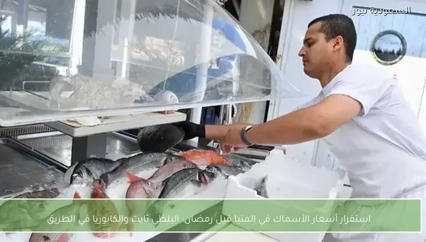 استقرار أسعار الأسماك في المنيا قبل رمضان: البلطي ثابت والكابوريا في الطريق