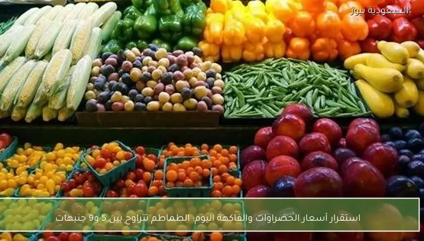 استقرار أسعار الخضراوات والفاكهة اليوم: الطماطم تتراوح بين 5 و9 جنيهات