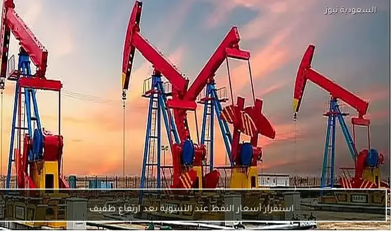 استقرار أسعار النفط عند التسوية بعد ارتفاع طفيف