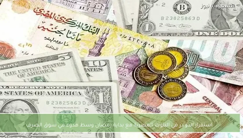 استقرار الدولار في البنوك المصرية مع بداية رمضان وسط هدوء في سوق الصرف
