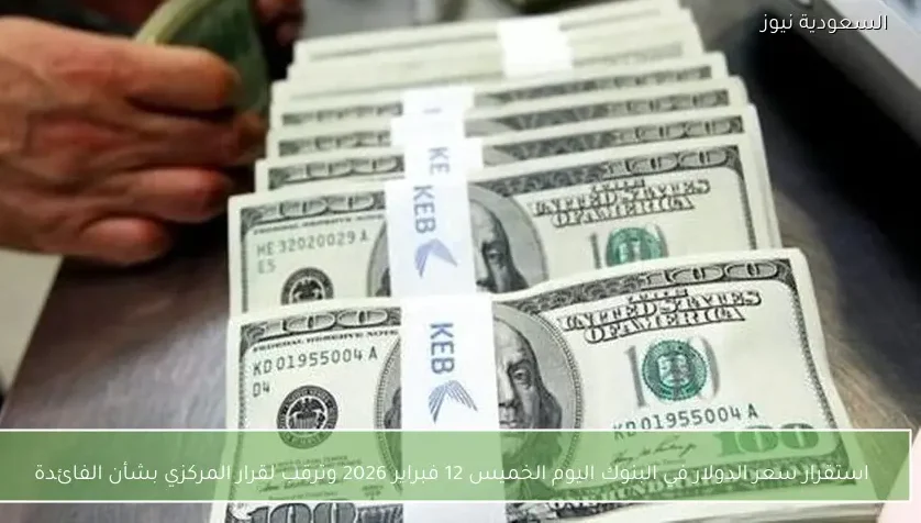 استقرار سعر الدولار في البنوك اليوم الخميس 12 فبراير 2026 وترقب لقرار المركزي بشأن الفائدة