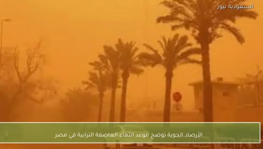 الأرصاد الجوية توضح موعد انتهاء العاصفة الترابية في مصر