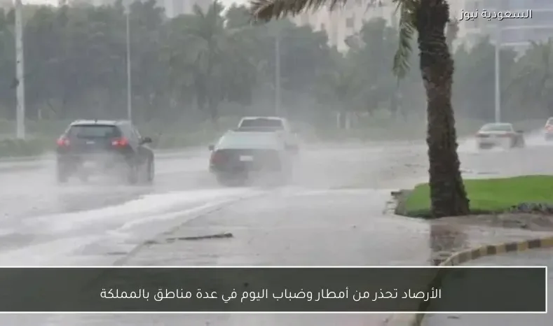 الأرصاد تحذر من أمطار وضباب اليوم في عدة مناطق بالمملكة
