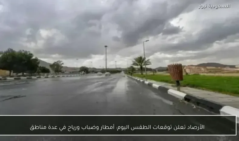 الأرصاد تعلن توقعات الطقس اليوم: أمطار وضباب ورياح في عدة مناطق