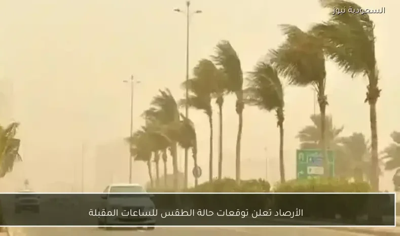 الأرصاد تعلن توقعات حالة الطقس للساعات المقبلة