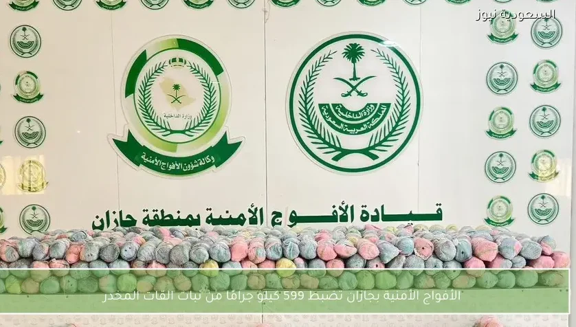 الأفواج الأمنية بجازان تضبط 599 كيلو جرامًا من نبات القات المخدر