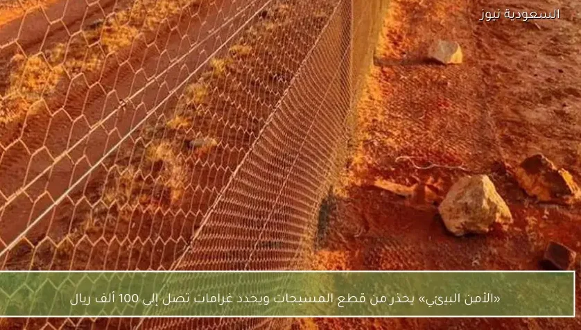 «الأمن البيئي» يحذر من قطع المسيجات ويحدد غرامات تصل إلى 100 ألف ريال