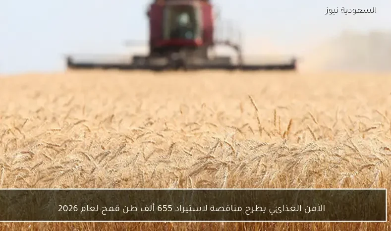 الأمن الغذائي يطرح مناقصة لاستيراد 655 ألف طن قمح لعام 2026