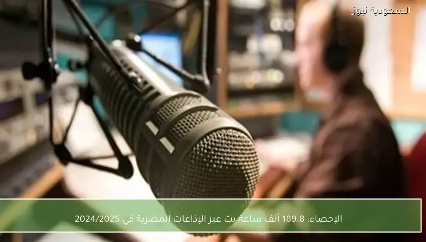 الإحصاء: 189.8 ألف ساعة بث عبر الإذاعات المصرية في 2024/2025