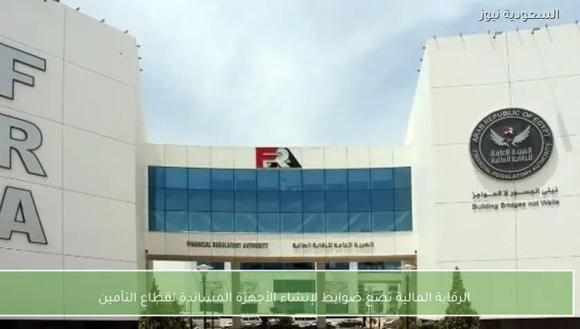 الرقابة المالية تضع ضوابط لإنشاء الأجهزة المساندة لقطاع التأمين