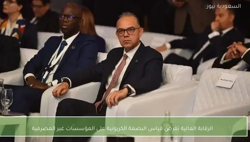 الرقابة المالية تفرض قياس البصمة الكربونية على المؤسسات غير المصرفية