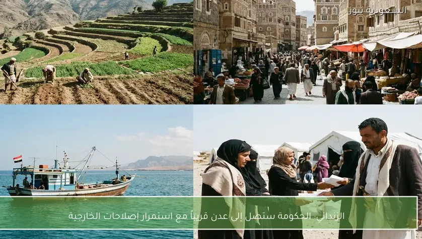 الزنداني: الحكومة ستصل إلى عدن قريباً مع استمرار إصلاحات الخارجية