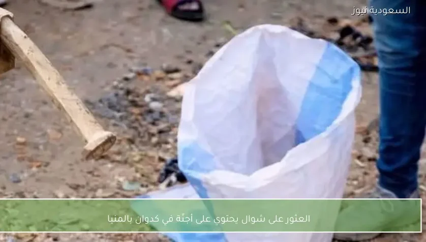 العثور على شوال يحتوي على أجنّة في كدوان بالمنيا