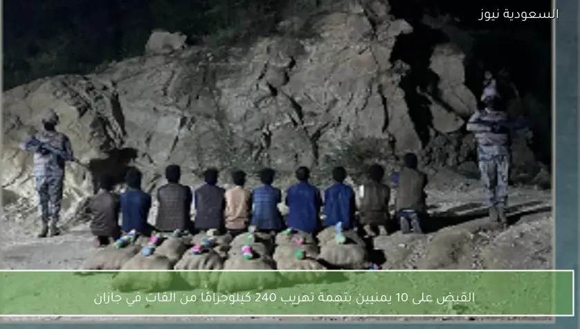 القبض على 10 يمنيين بتهمة تهريب 240 كيلوجرامًا من القات في جازان