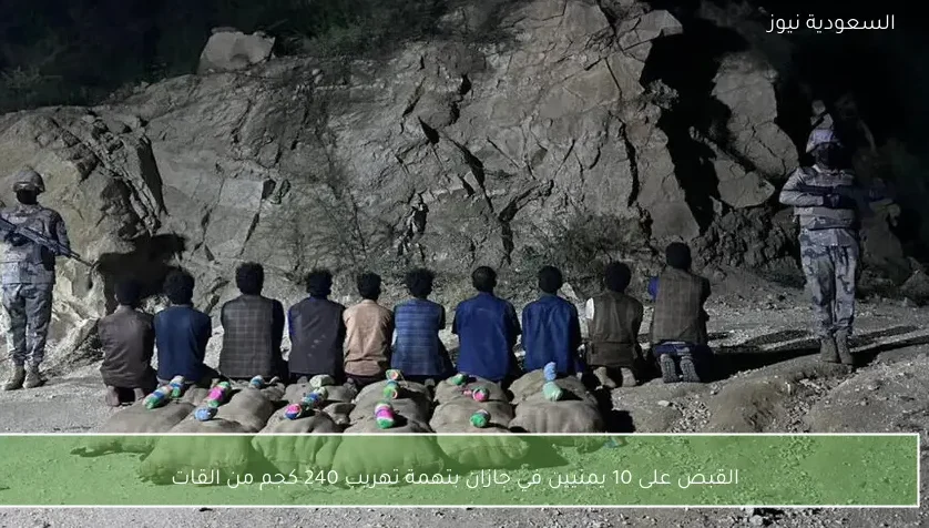 القبض على 10 يمنيين في جازان بتهمة تهريب 240 كجم من القات