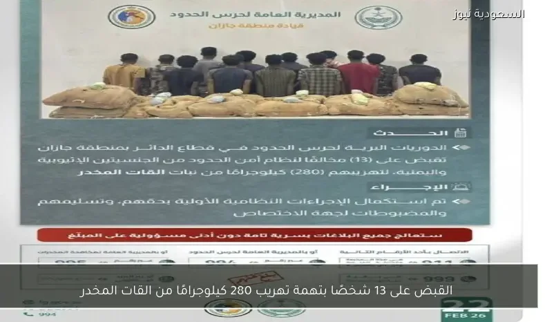 القبض على 13 شخصًا بتهمة تهريب 280 كيلوجرامًا من القات المخدر
