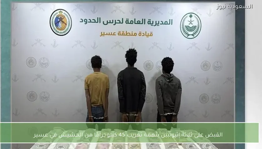 القبض على ثلاثة إثيوبيين بتهمة تهريب 45 كيلوجرامًا من الحشيش في عسير