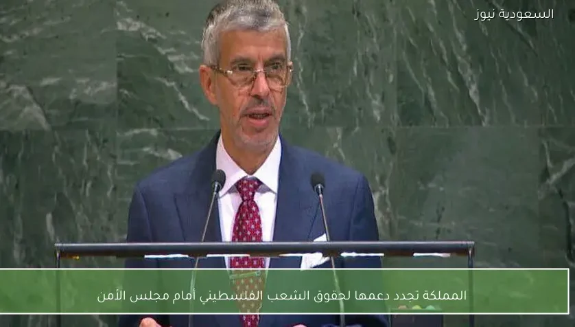 المملكة تجدد دعمها لحقوق الشعب الفلسطيني أمام مجلس الأمن