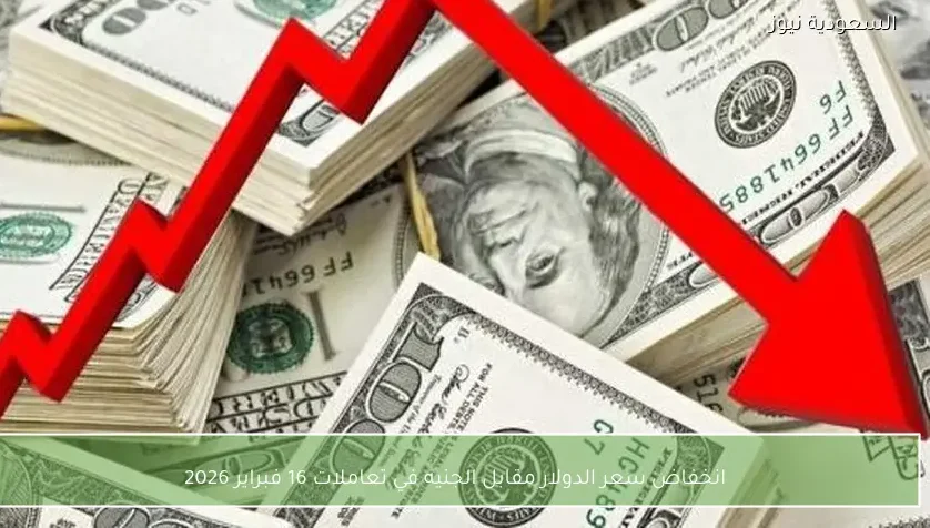 انخفاض سعر الدولار مقابل الجنيه في تعاملات 16 فبراير 2026