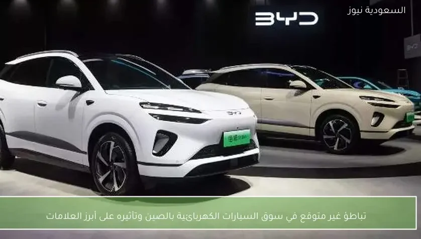 تباطؤ غير متوقع في سوق السيارات الكهربائية بالصين وتأثيره على أبرز العلامات