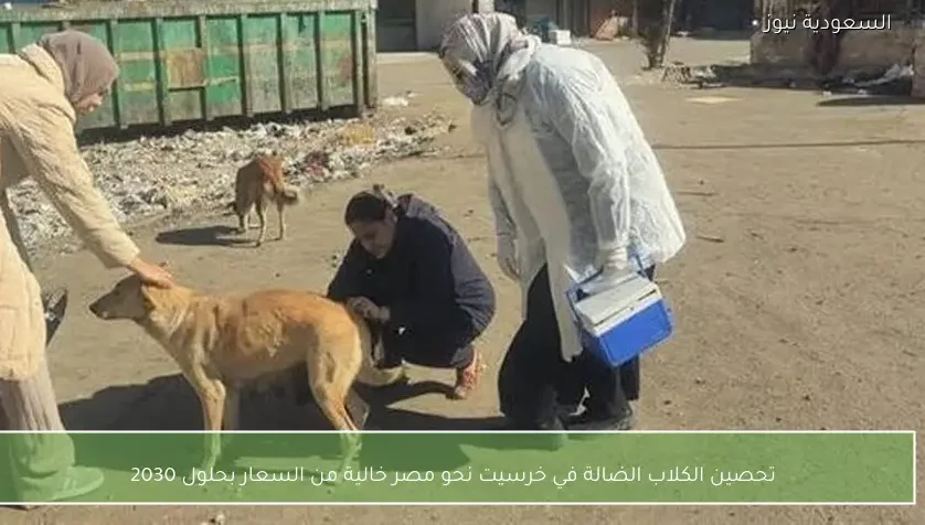 تحصين الكلاب الضالة في خرسيت نحو مصر خالية من السعار بحلول 2030