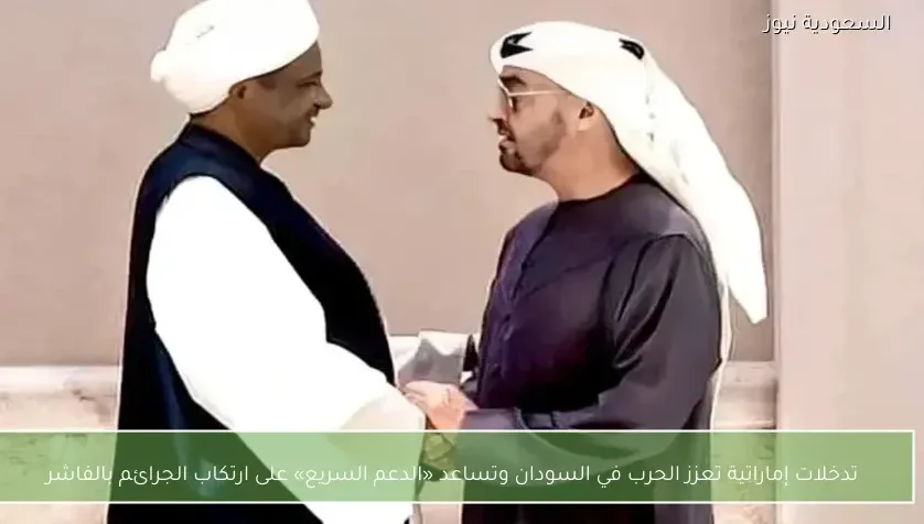 تدخلات إماراتية تعزز الحرب في السودان وتساعد «الدعم السريع» على ارتكاب الجرائم بالفاشر